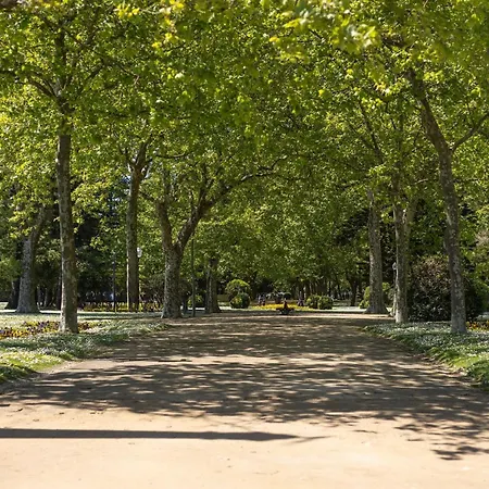 Edition 309 - Beachfront Loft By Lovelystay *